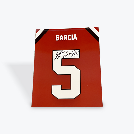 Stephen Garcia Signed Jersey Photo