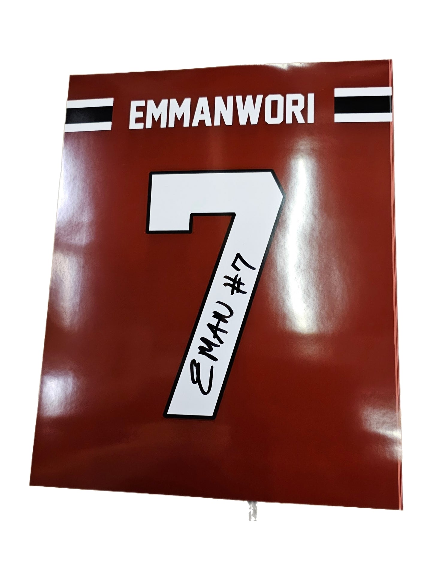 Nick Emmanwori Signed Jersey Photo