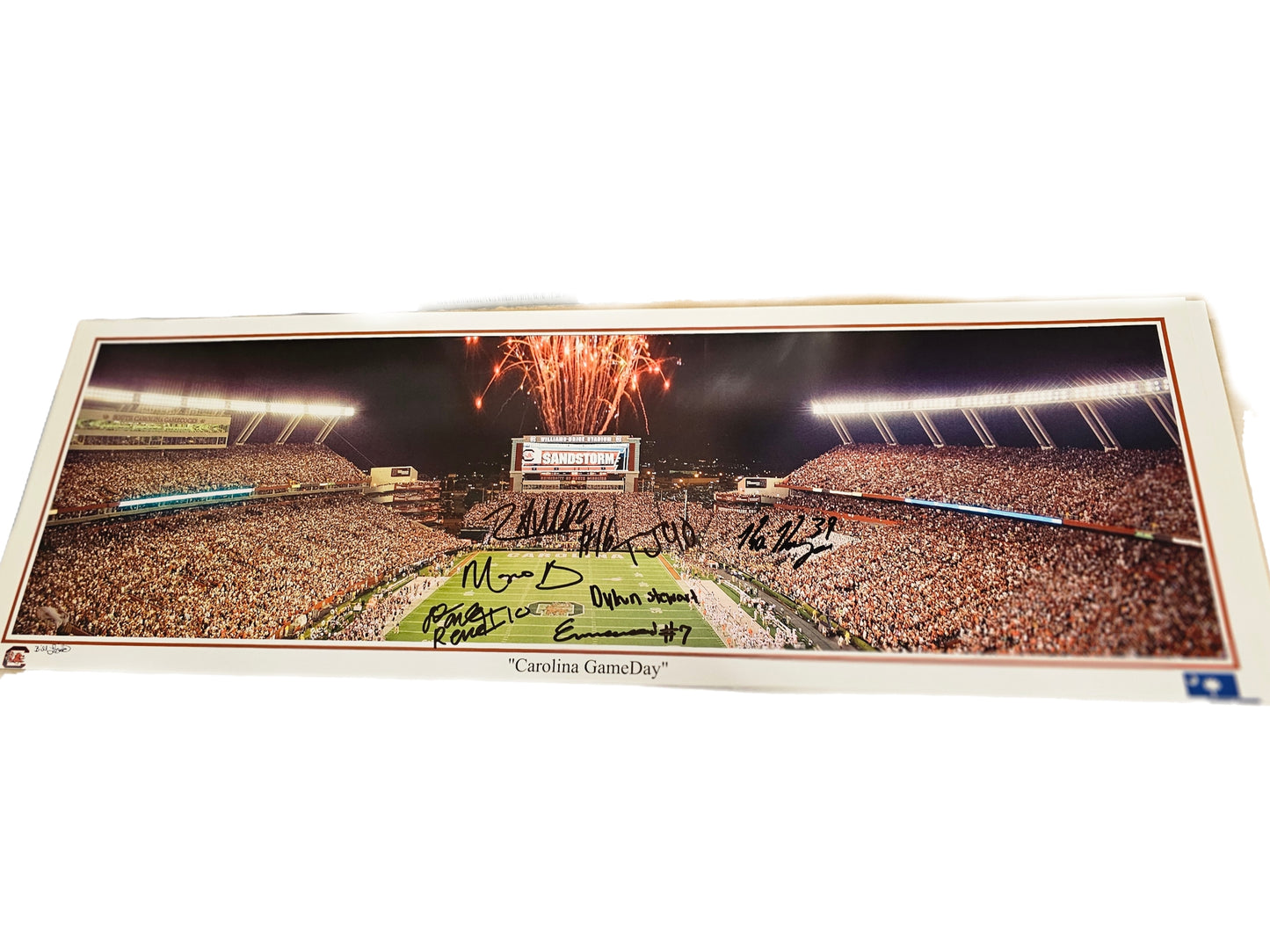 Group Signed Panoramic Stadium Photo