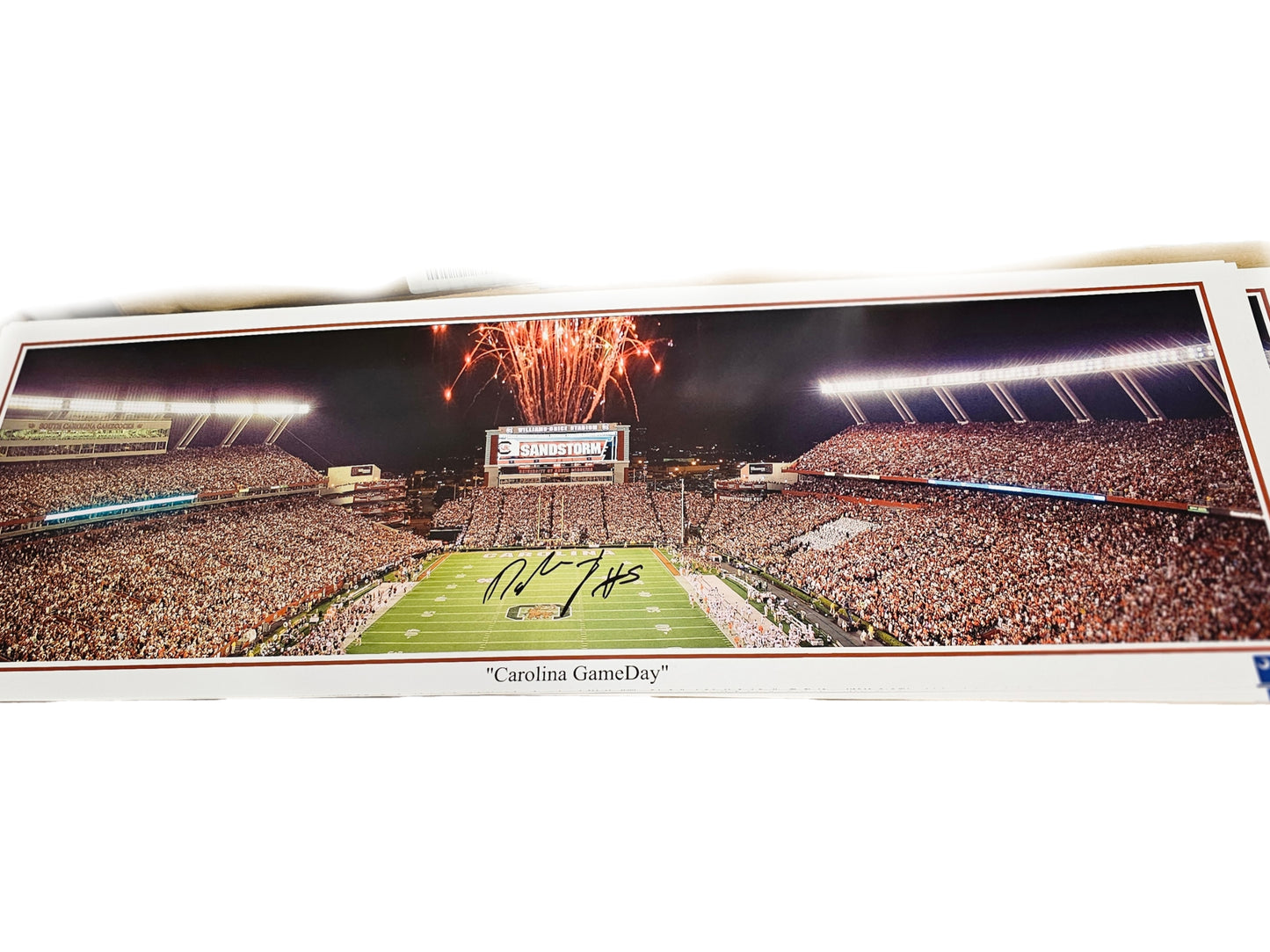 Dakereon Joyner Signed Panoramic Stadium Photo